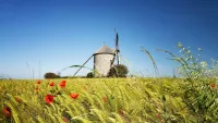 Normandy is full of charm. Credit: Shutterstock