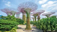 Singapore has unbelievable Botanical Gardens. Credit: Shutterstock