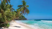 Jamaica is the Caribbean island where people flock, as its most famous son Bob Marley once sung, “to feel all right." Credit: Shutterstock
