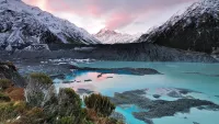New zealand min