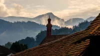 Rhine rooftops min