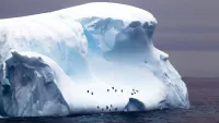 The Drake Passage is considered one of the most treacherous voyages for ships to make. Credit: Shutterstock