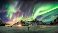 Norway Lights