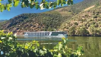 Douro delights: Experience a river cruise with everything from wine to wildlife