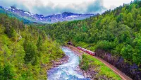Shutterstock train through country min