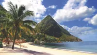 View of beach shutterstock min