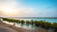 sir bani yas island
