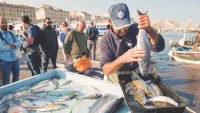 Marseille fish min
