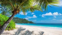 The Caribbean islands enjoy a hot, tropical climate all year round so loose-fitting clothing is the way to go. Credit: Shutterstock
