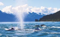 Juneau alaska