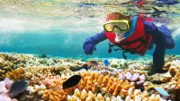 Top 3 things to see and do in Australia with Princess Cruises