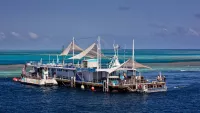reefworld australia