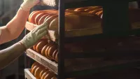 Bread