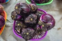 Eggplant