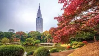 Japan is very different from any other country you've visited. Credit: Shutterstock