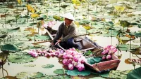 Vietnam has captivating landscapes. Credit: Shutterstock