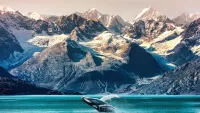 Best cruise experiences in the Arctic from puffin spotting to hiking volcanoes