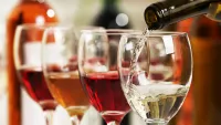 wine cruise