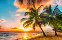 An expert cruise port guide to Barbados