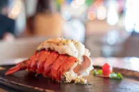 Shutterstock 1072467797 min Lobster