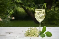 Shutterstock 437397631 min Elderflower drink making