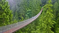 Capilano Suspension Bridge min