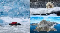 Polar bears, penguins and stunning fjords - Delve into the Arctic and Antarctica with Poseidon Expeditions