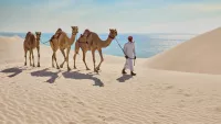 Qatar's desert is truly special. Credit: Qatar Tourism
