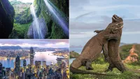 Top four itineraries to explore Asia with Holland America Line