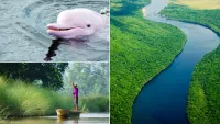 Best for wildlife and culture: adventure cruise on the Amazon