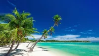 Fiji min