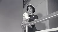 The history of pets aboard with Cunard