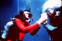Sylvia Earle: the woman behind the ground-breaking ship