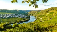 Moselle valley