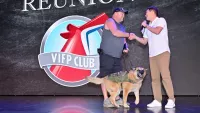 Service dog earns Diamond status with Carnival Cruise Line after sailing 55 cruises