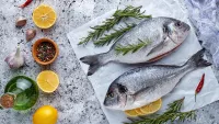 Seabream