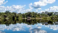 Discover the Amazon Rainforest on an expedition cruise. Credit: Shutterstock