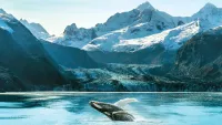 Glacier Bay National Park, Alaska