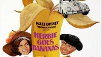 Herbie poster resized