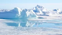Join an Arctic expedition cruise with Atlas Ocean Voyages. Credit: Shutterstock