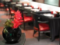 Oceania red ginger