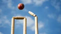 Ambassador has planned a voyage with a cricket theme that will include ex-players and analysts. Credit: Shutterstock