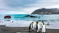 Expedition cruising is becoming increasingly popular with travellers of all ages. Credit: Shutterstock
