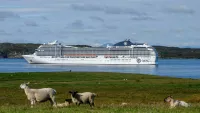 Stornoway MSC