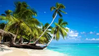 Caribbean cruises, dropped anchor