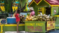 Immerse yourself in the real Jamaica with Marella Cruises. Credit: Shutterstock
