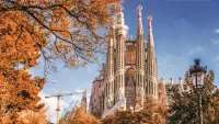 10 ways to get the most out of your cruise excursions