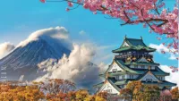 Japan Cherry Blossom Mt. Fuji