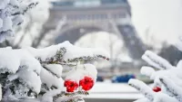 This Viking cruise brings you the ultimate Christmas cheer on the Seine