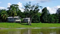The Amazon rainforest is the largest in the world. Credit: Avalon Waterways